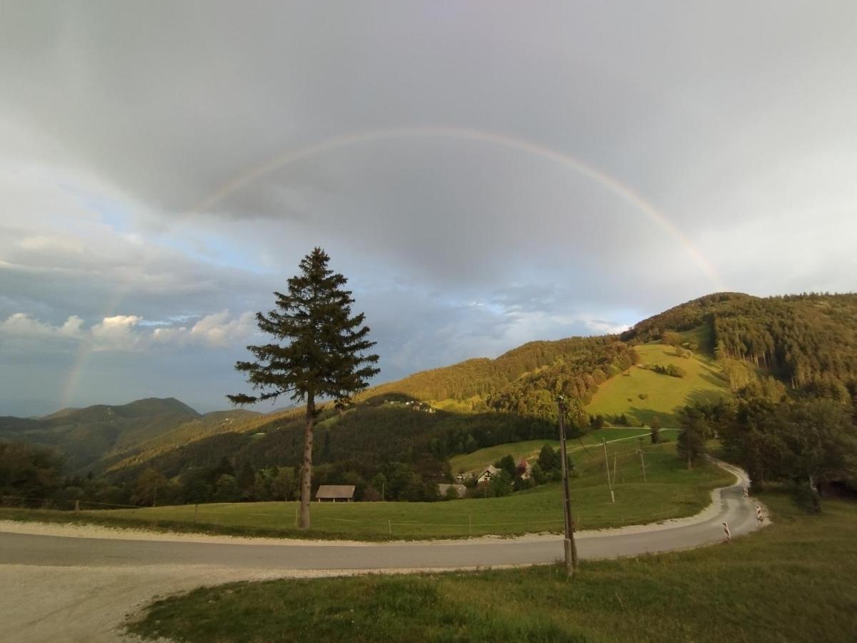 Planinski Dom Vrhe Hotel Trbovlje Kültér fotó