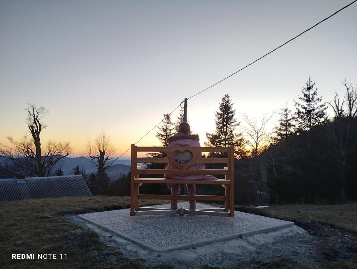 Planinski Dom Vrhe Hotel Trbovlje Kültér fotó